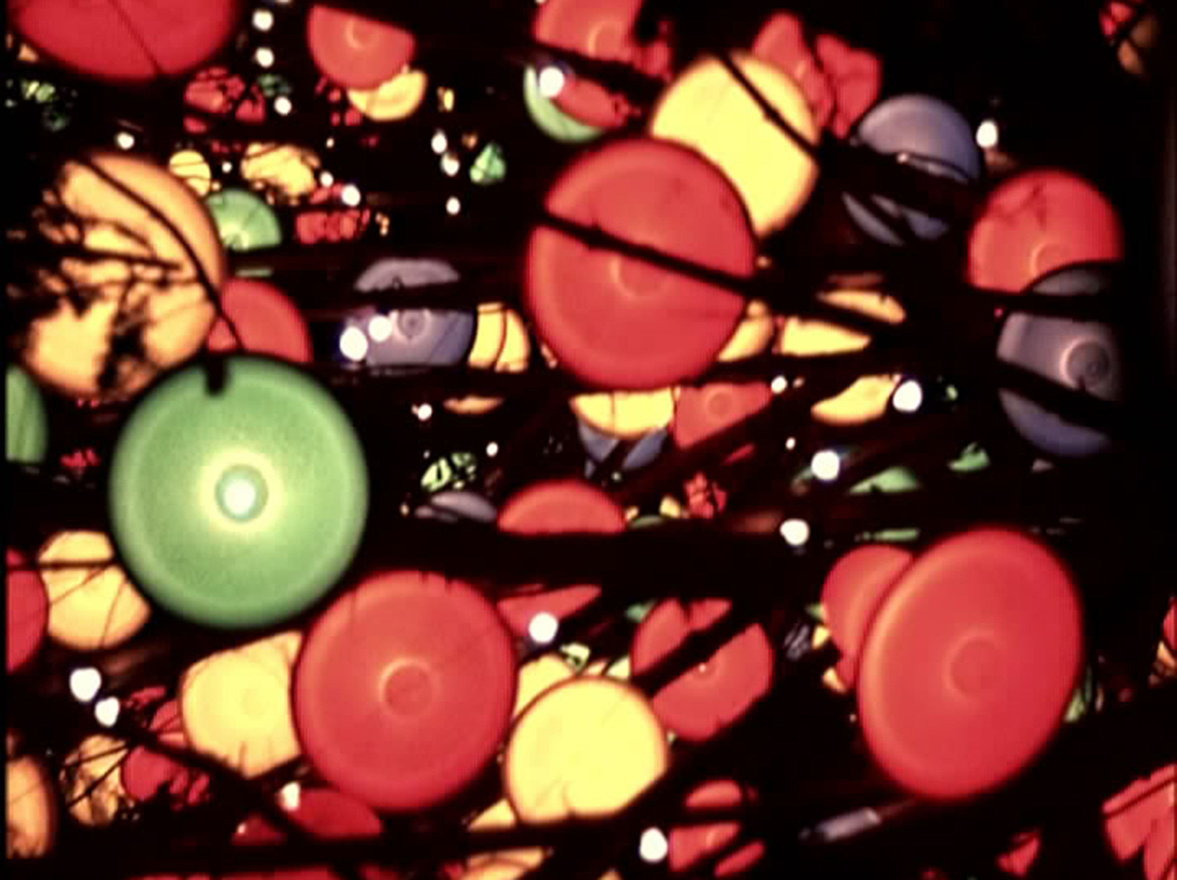 Un árbol de navidad se incendia