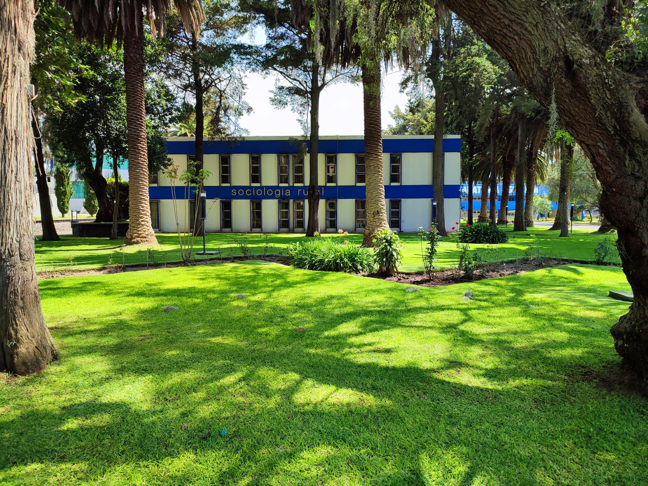 Chapingo 1972: génesis de la Sociología Rural en México